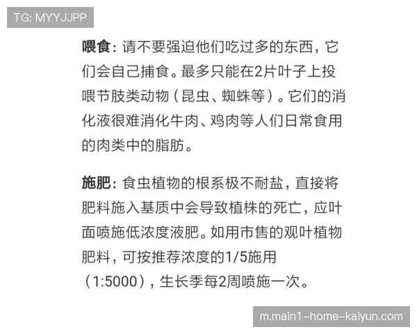 索罗金与元敏诚首次搭档显生疏 中卫默契度需时间积累